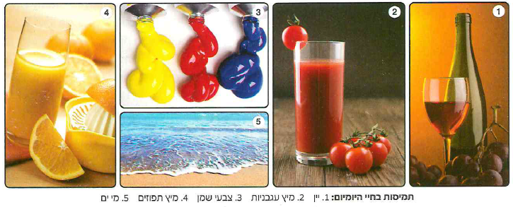 (בספר תמונה) 